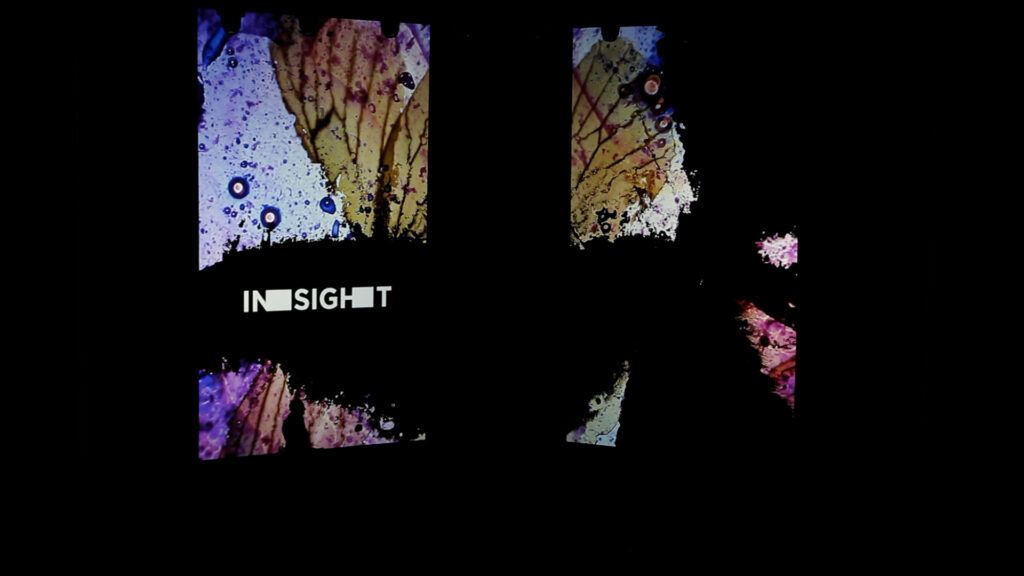 IAD_2015_dok-gali_.01_07_32_21.Still031 IAD_2015_dok-gali_.01_07_32_21.Still031